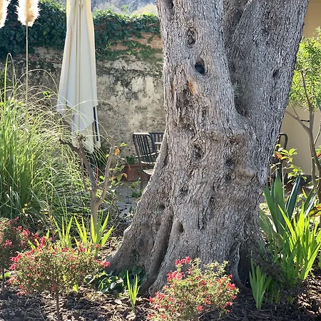 Villino Eleonora Panzió Parghelia