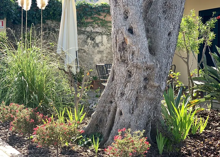 Villino Eleonora Panzió Parghelia